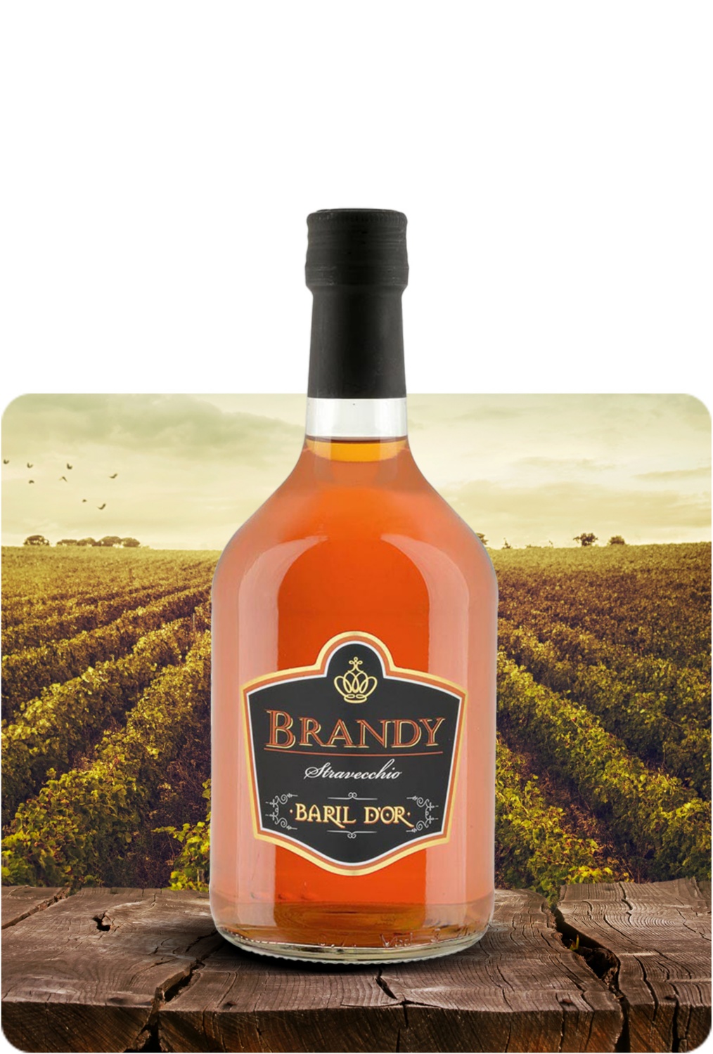 Brandy  