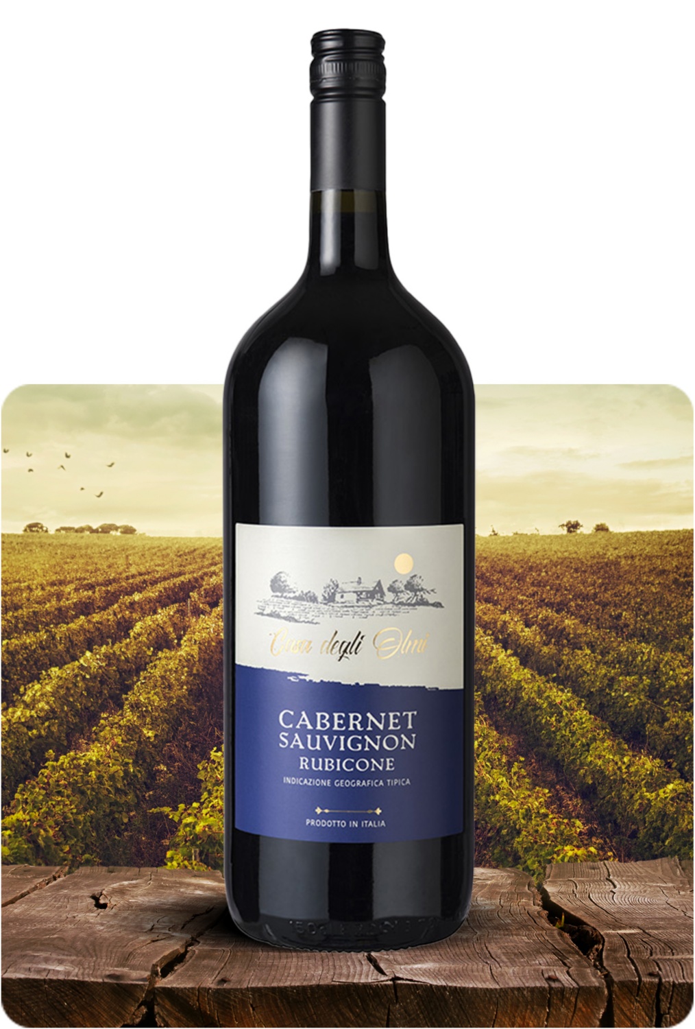 Cabernet Sauvignon IGT Rubicone