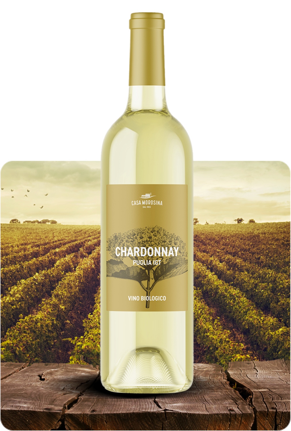 Chardonnay Puglia IGT Bio