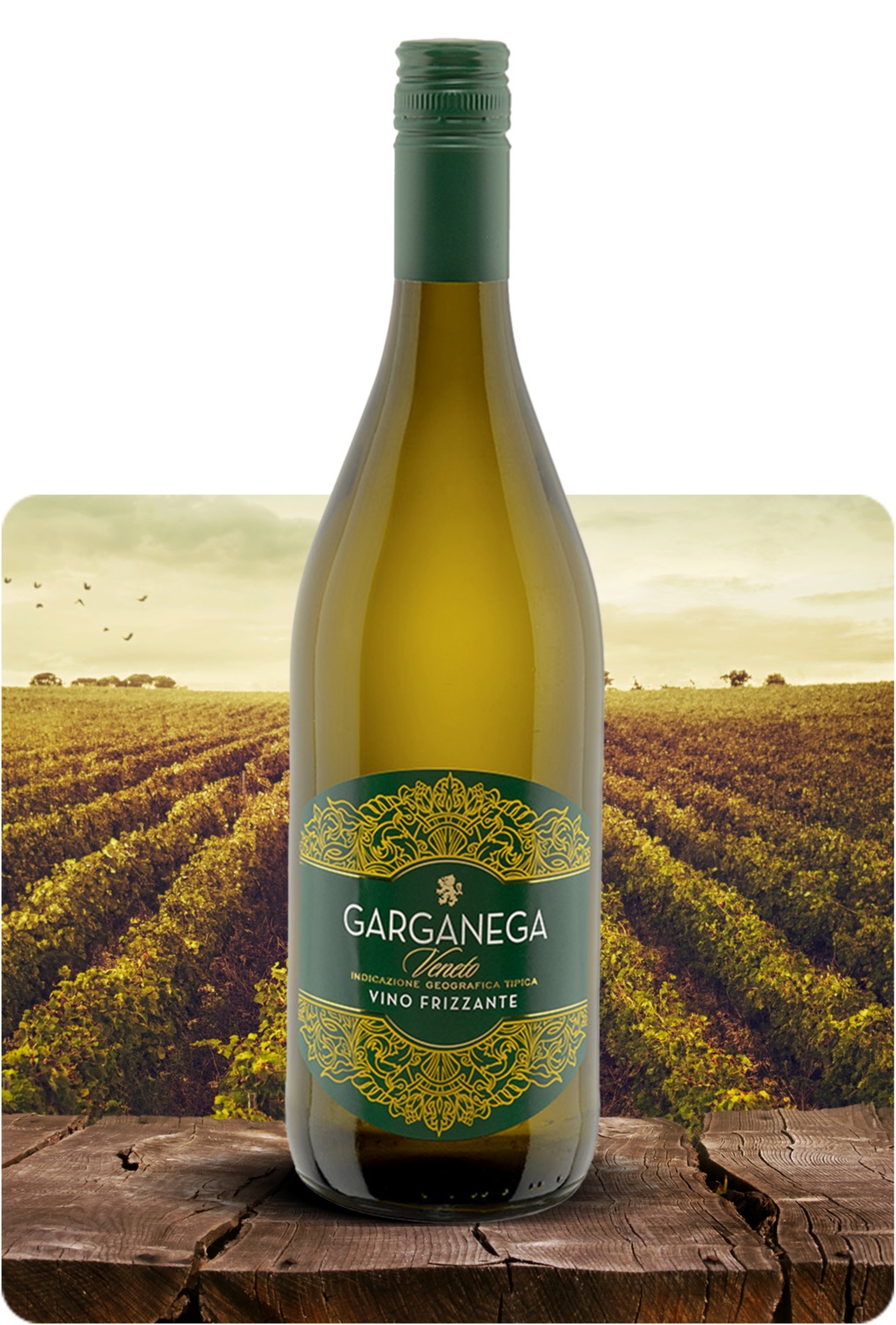 Garganega IGT Frizzante