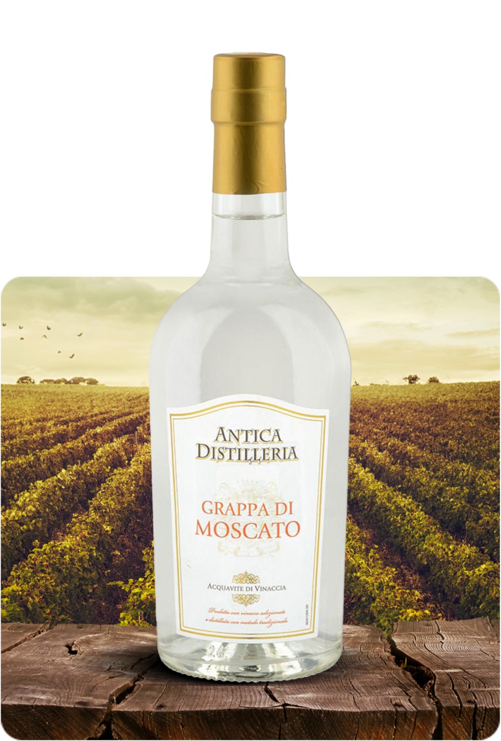 Grappa Moscato
