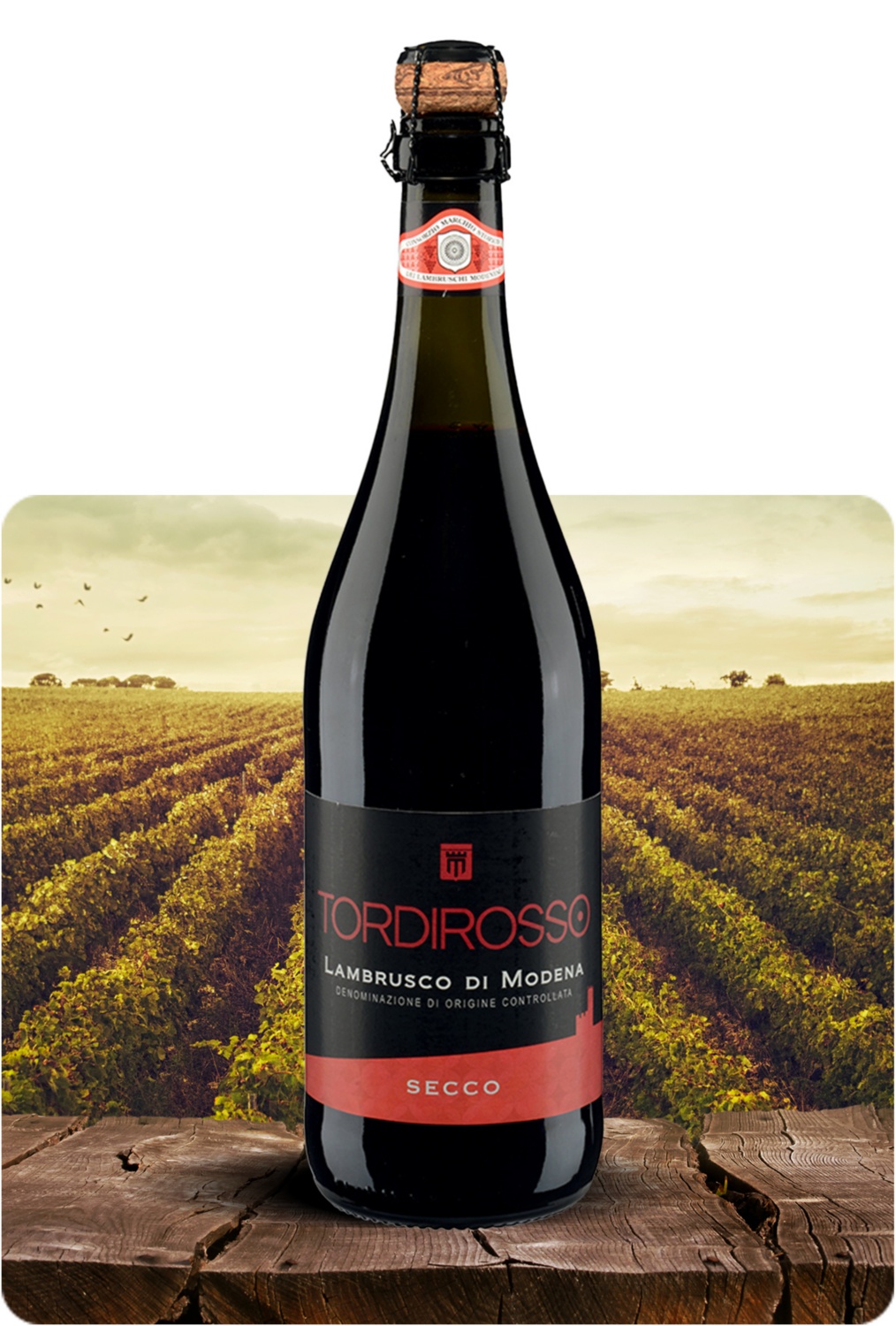 Lambrusco Secco DOC