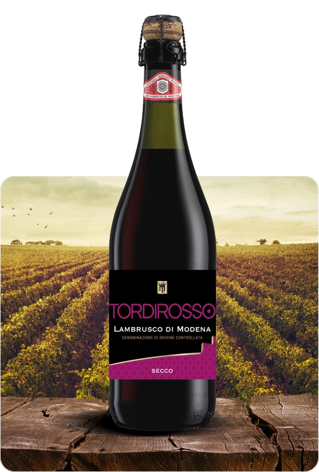 Lambrusco Secco DOC 