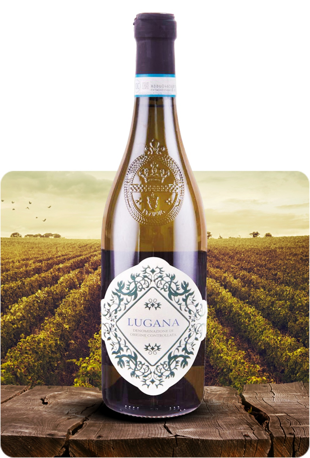 Lugana DOC  