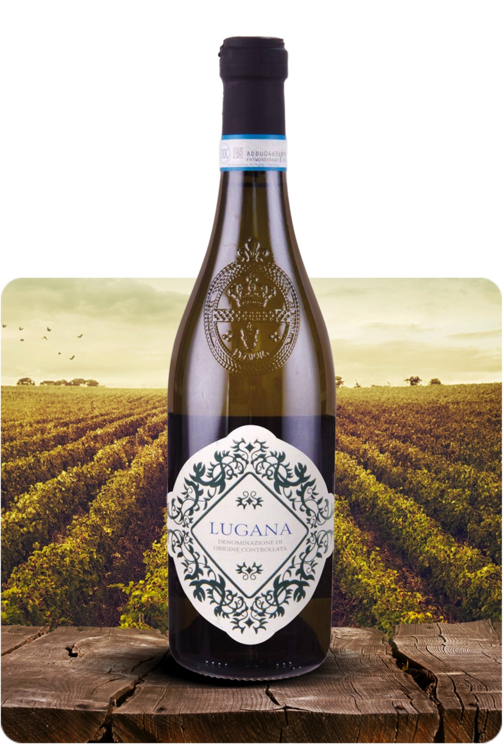 Lugana DOC