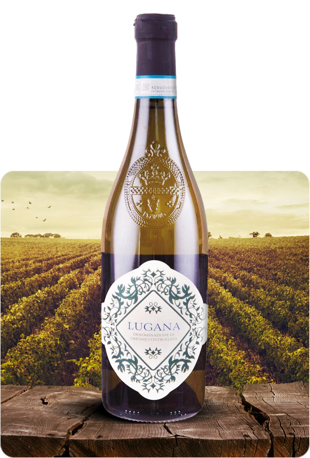 Lugana DOC