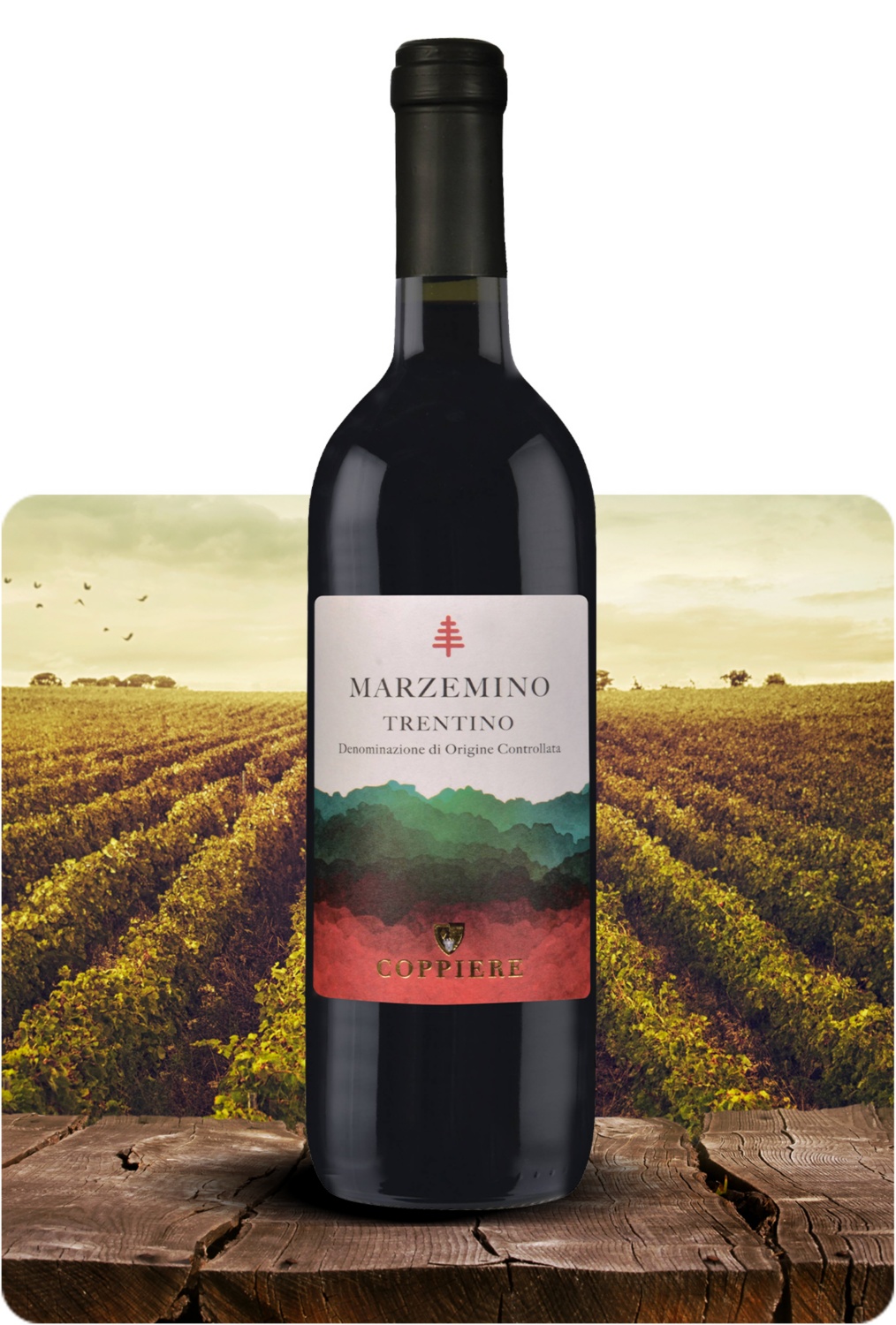  Marzemino Trentino DOC 