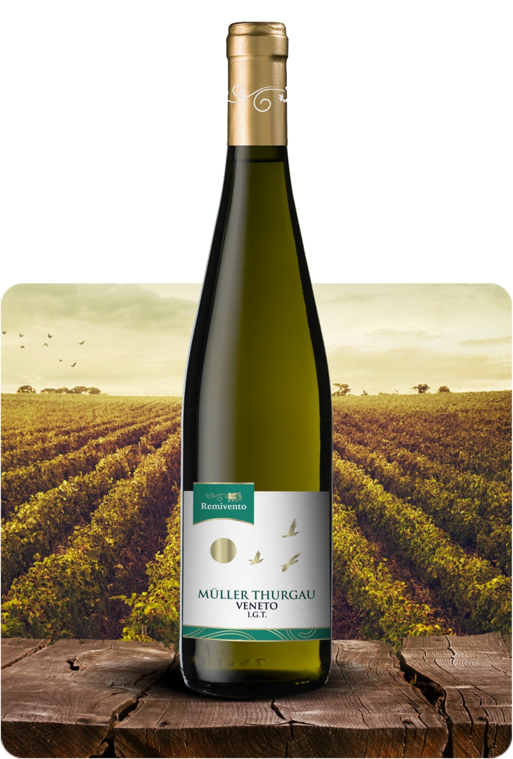 Müller Thurgau Veneto IGT
