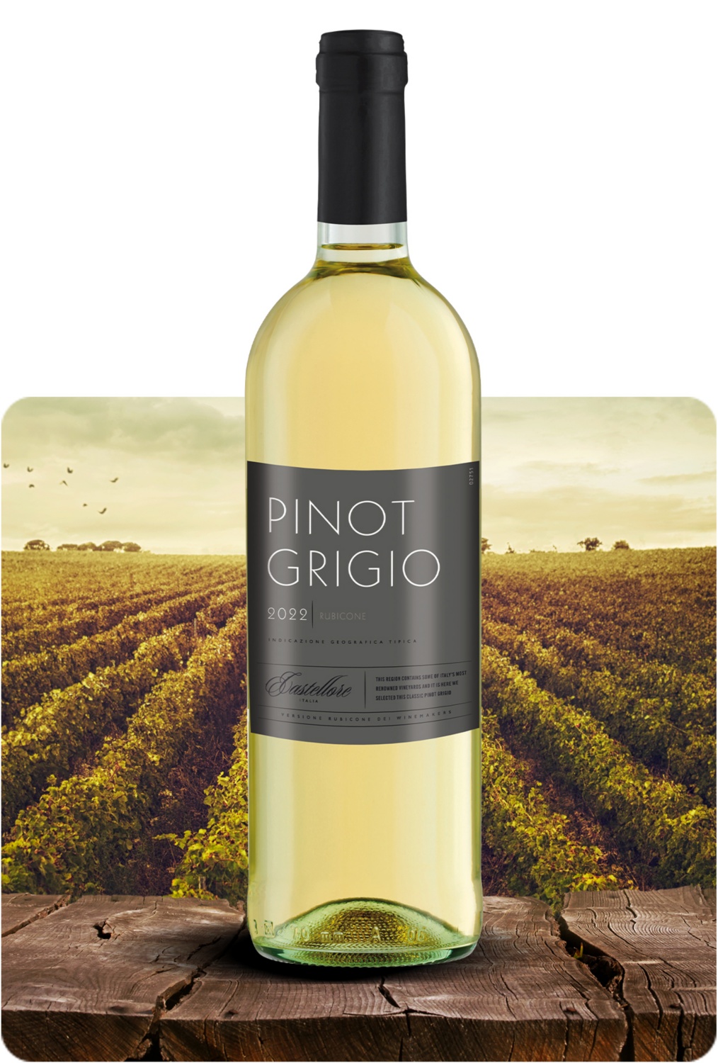 Pinot Grigio IGT Rubicone