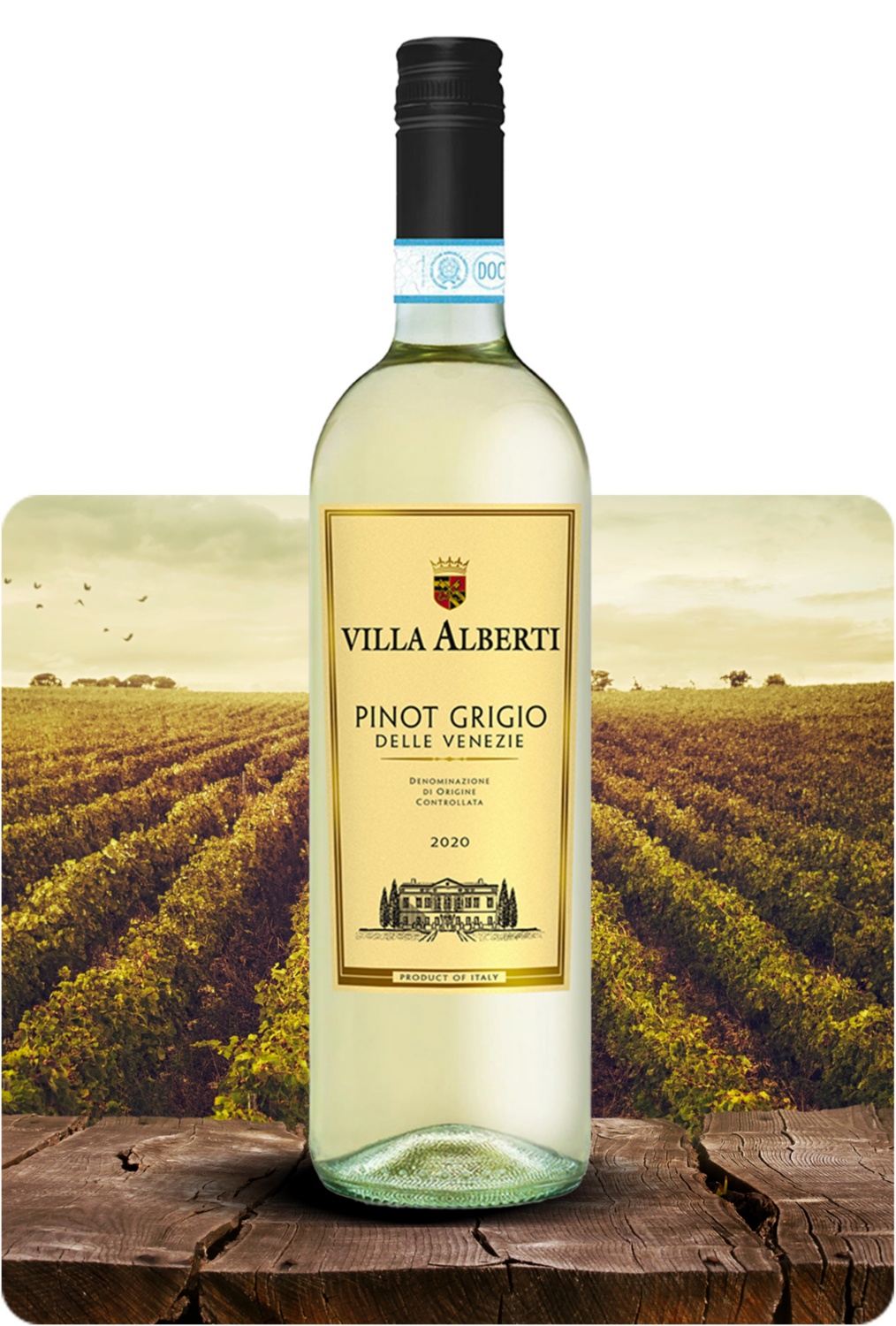 Pinot Grigio delle Venezie DOC 