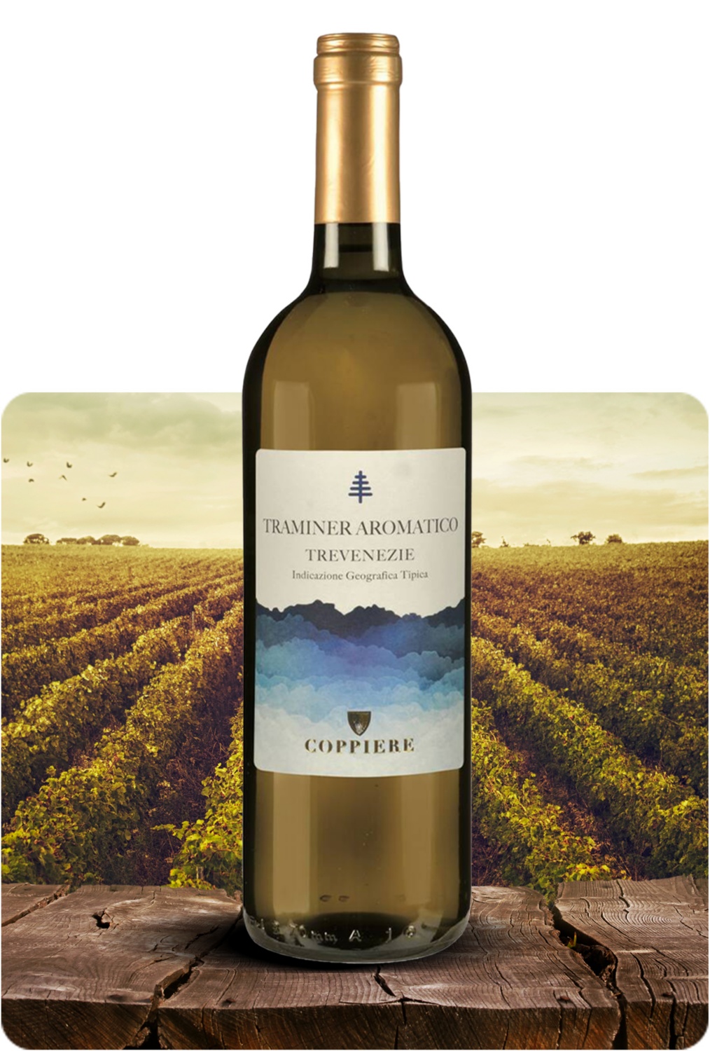 Traminer Aromatico Trevenezie IGT 