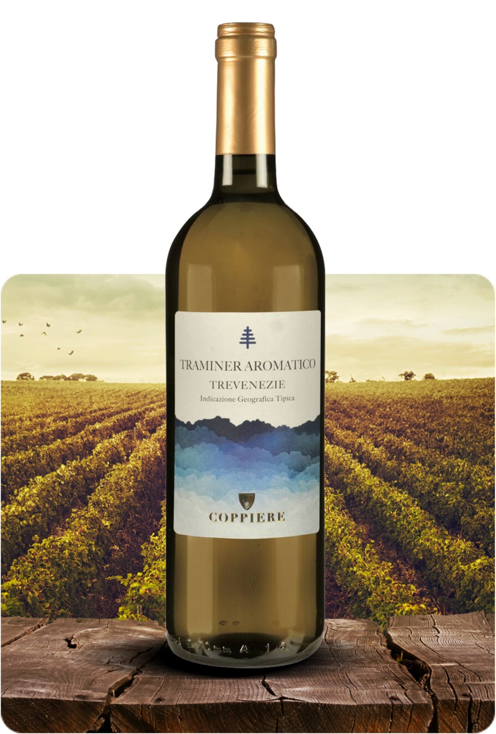 Traminer Trevenezie IGT