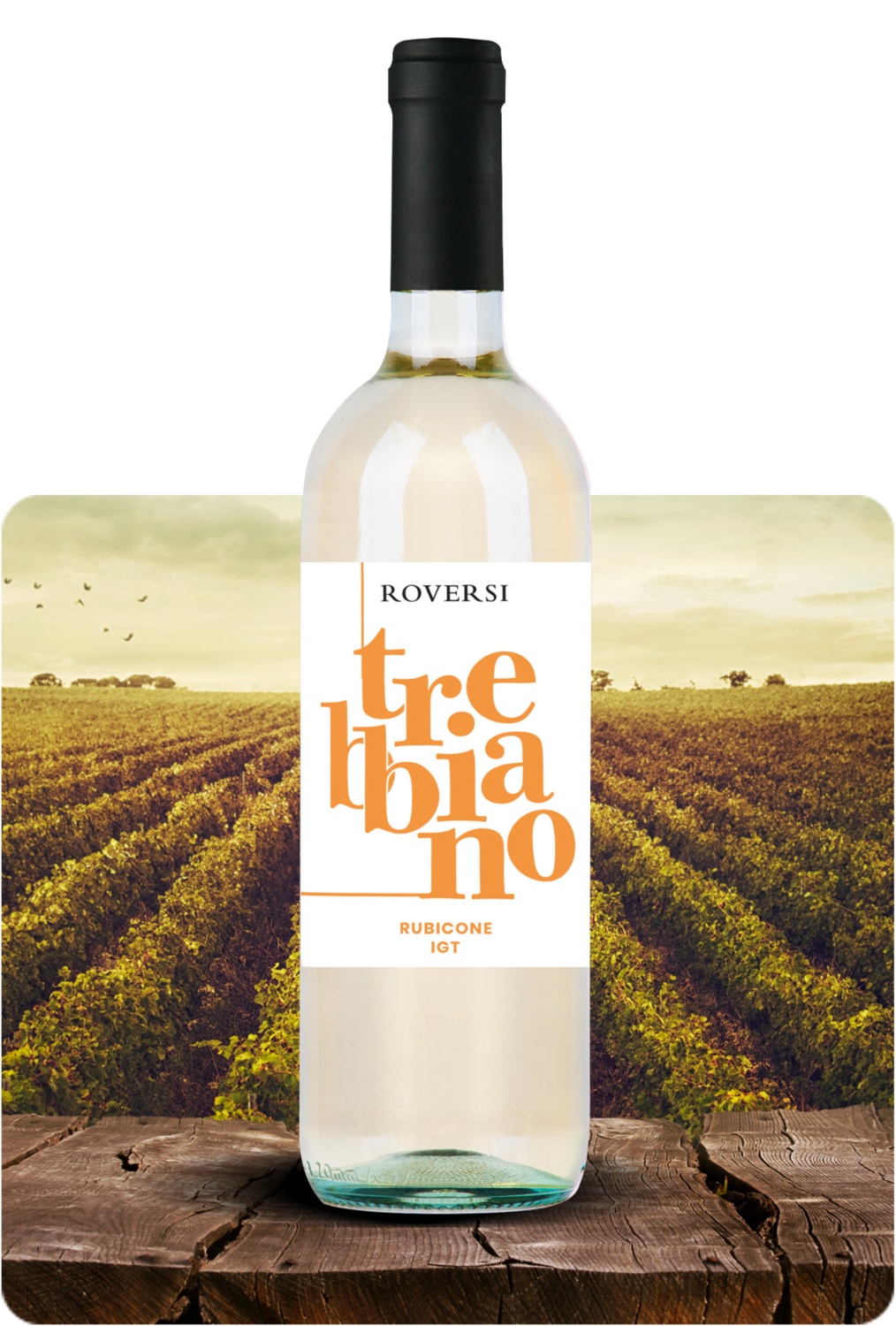 Trebbiano Rubicone IGT