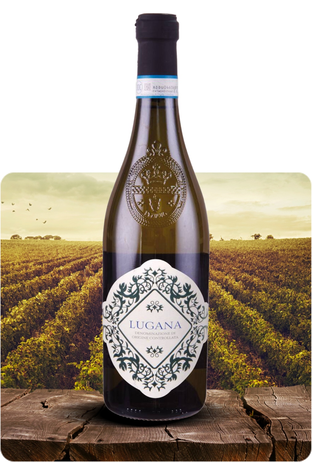 Lugana DOC 