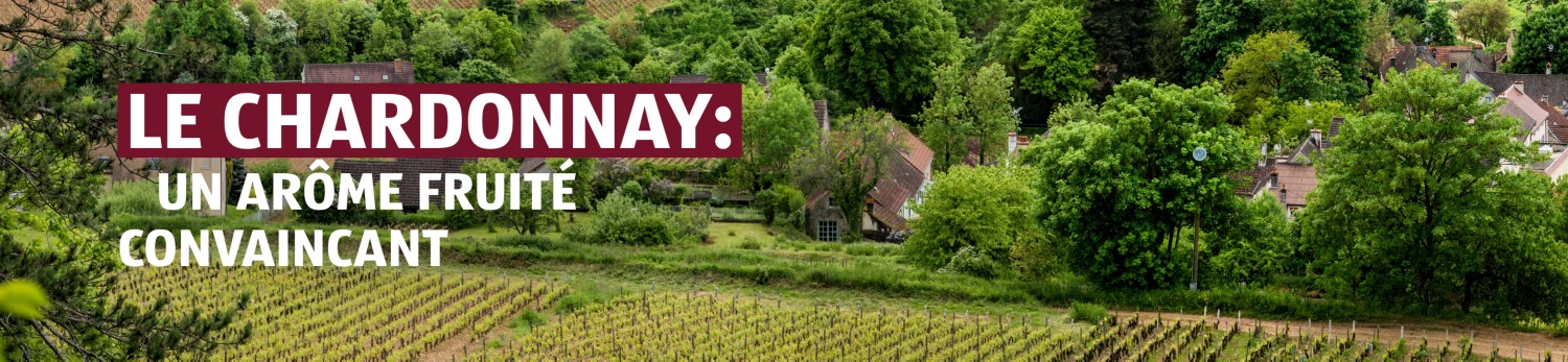 ALDI SUISSE – Offres Vinoteca Chardonnay