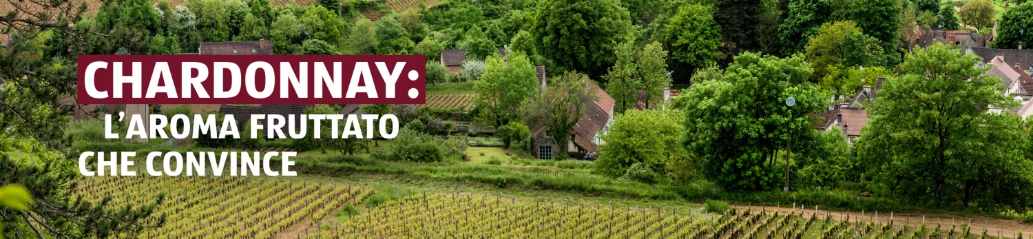 ALDI SUISSE – Vinoteca Chardonnay