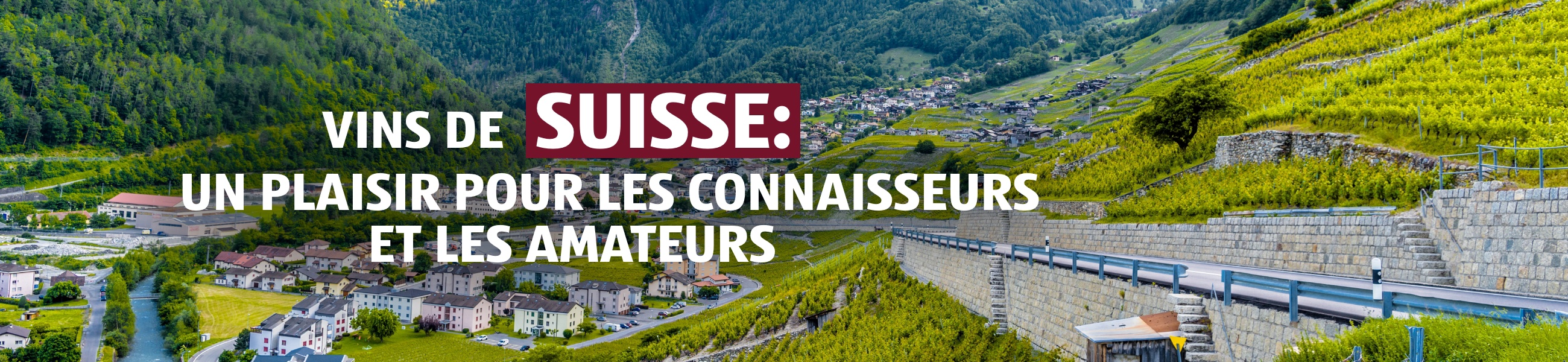 Vinothèque – Suisse