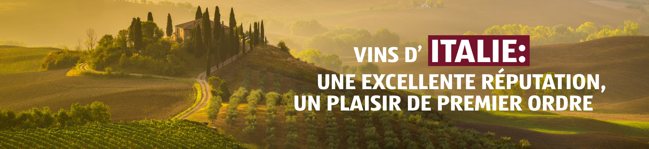 Vinothèque – Italie