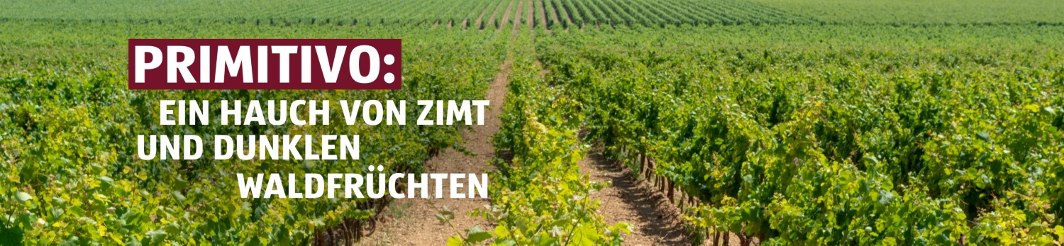 ALDI SUISSE – Vinoteca Primitivo