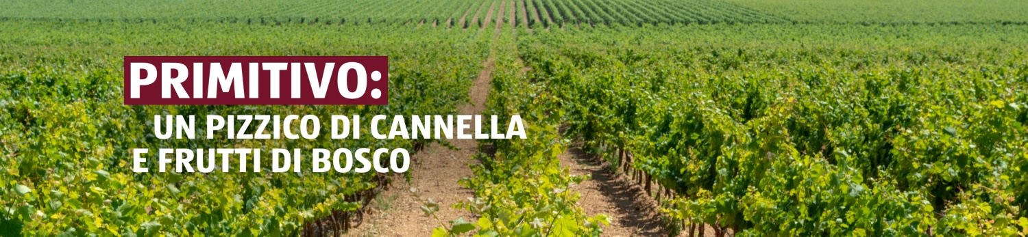 ALDI SUISSE – Vinoteca Primitivo