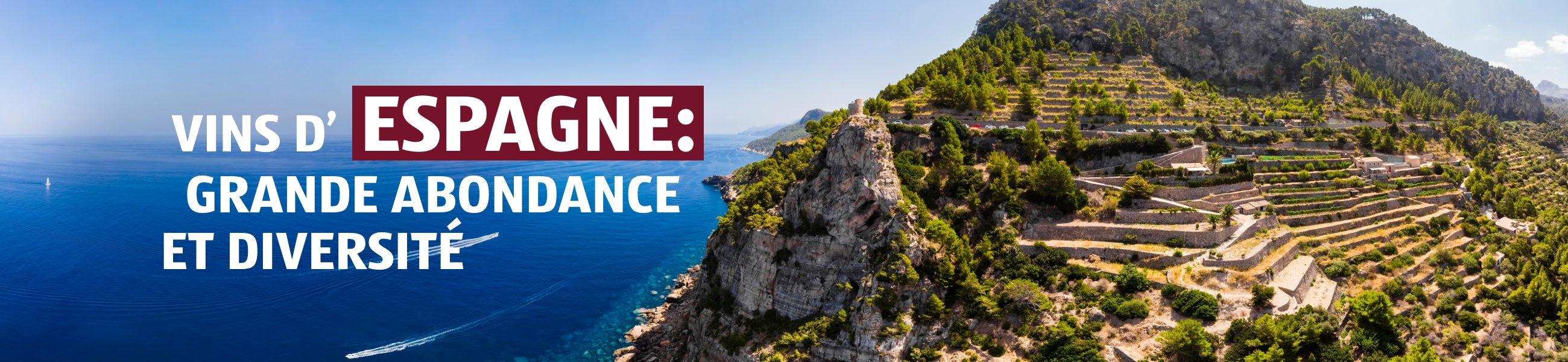 Vinothèque – Espagne