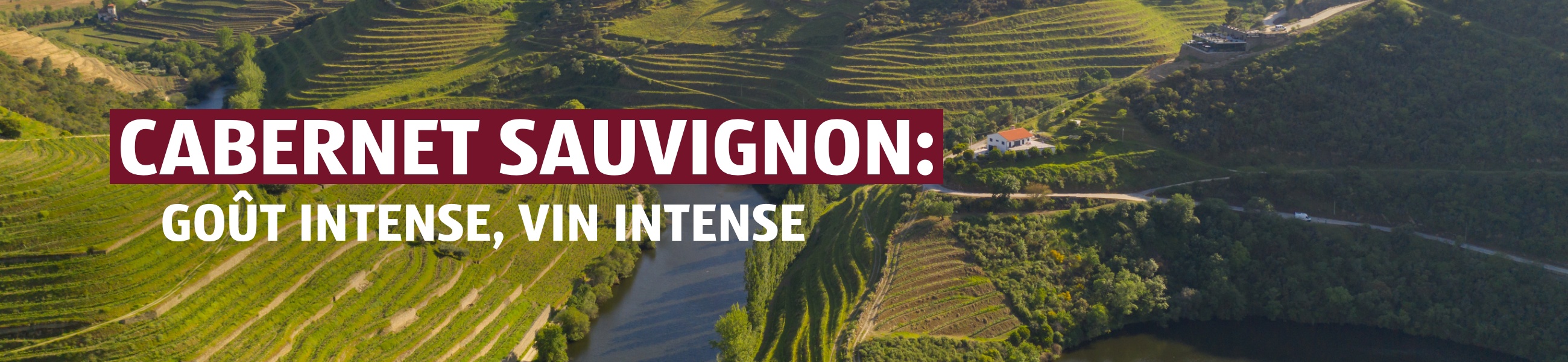 Vinothèque – Cabernet Sauvignon