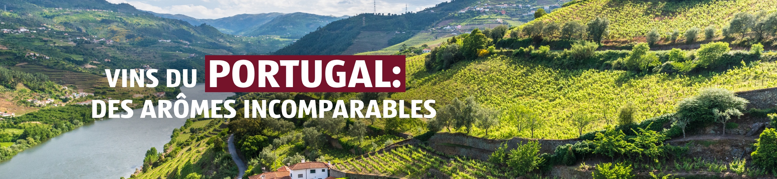 Vinothèque – Portugal
