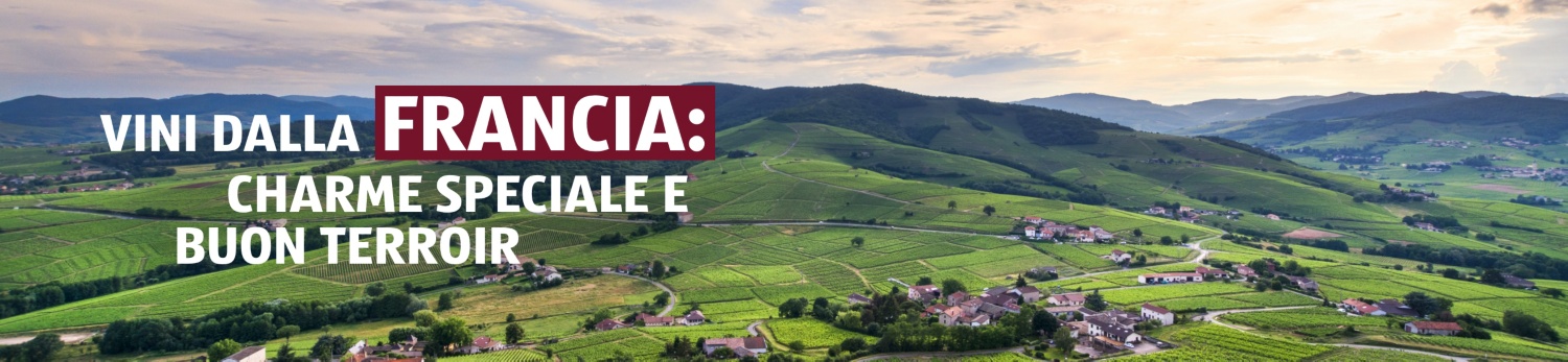 ALDI SUISSE – Vinoteca Francia