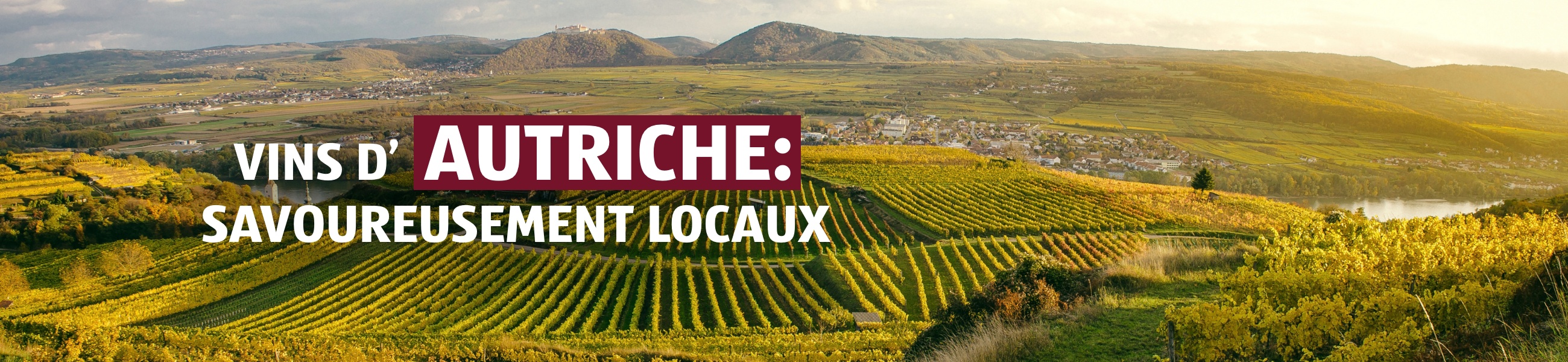 Vinothèque – Autriche