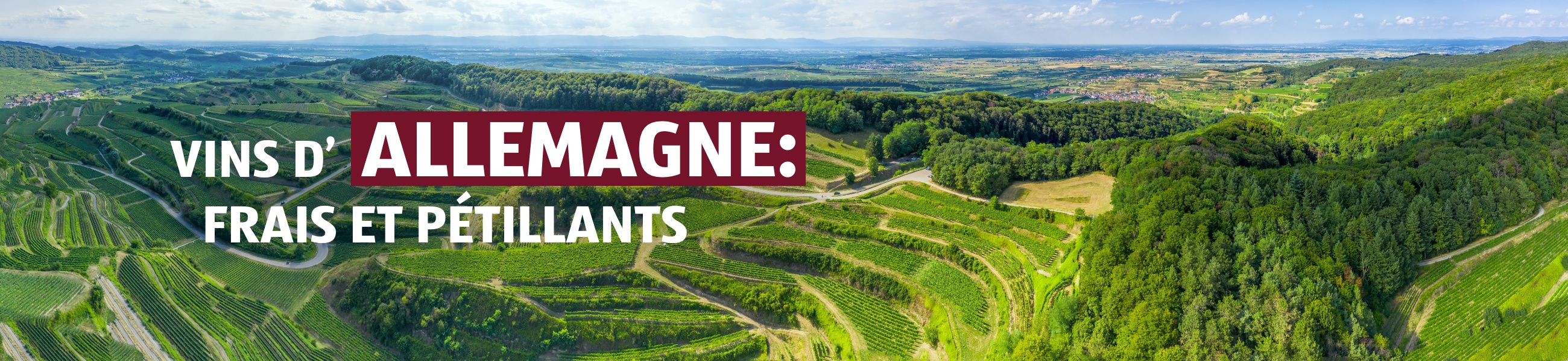 Vinothèque – Allemagne