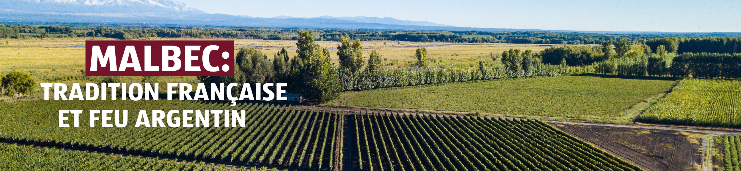 Vinothèque – Malbec