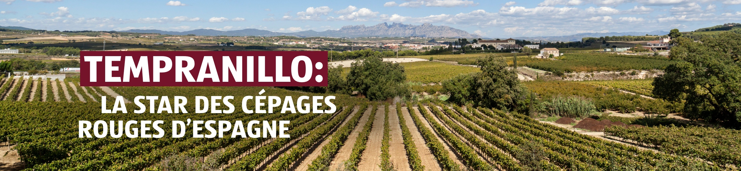 Vinothèque – Tempranillo