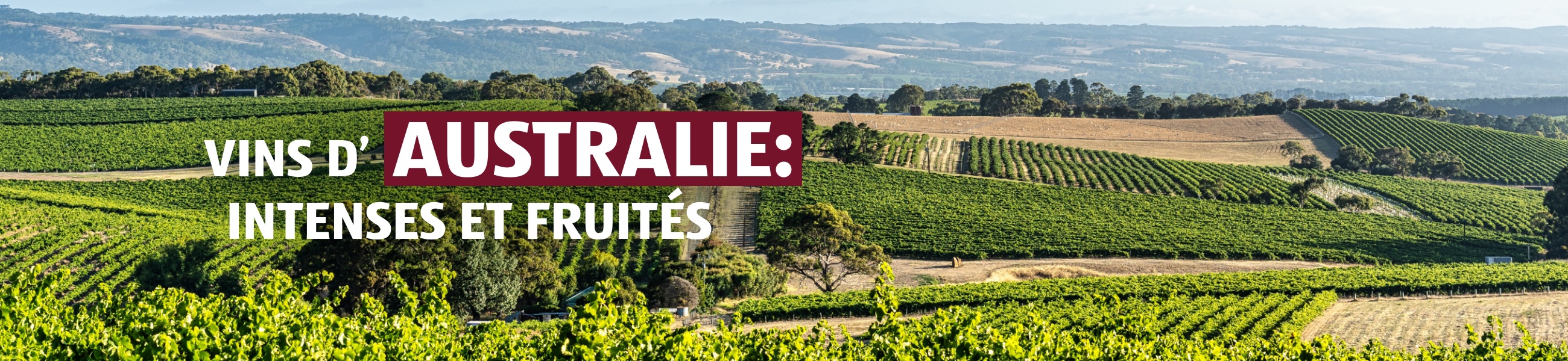 Vinothèque – Australie