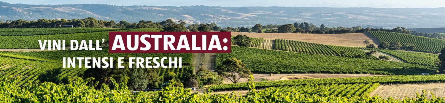 ALDI SUISSE – Vinoteca Australia