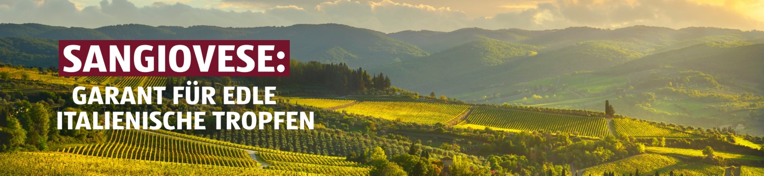 ALDI SUISSE – Vinoteca Sangiovese