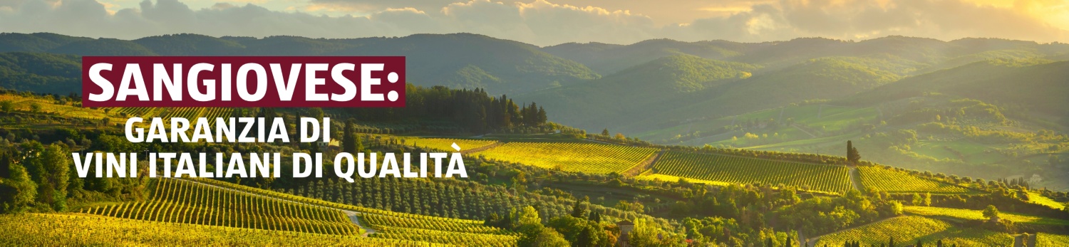 ALDI SUISSE – Vinoteca Sangiovese