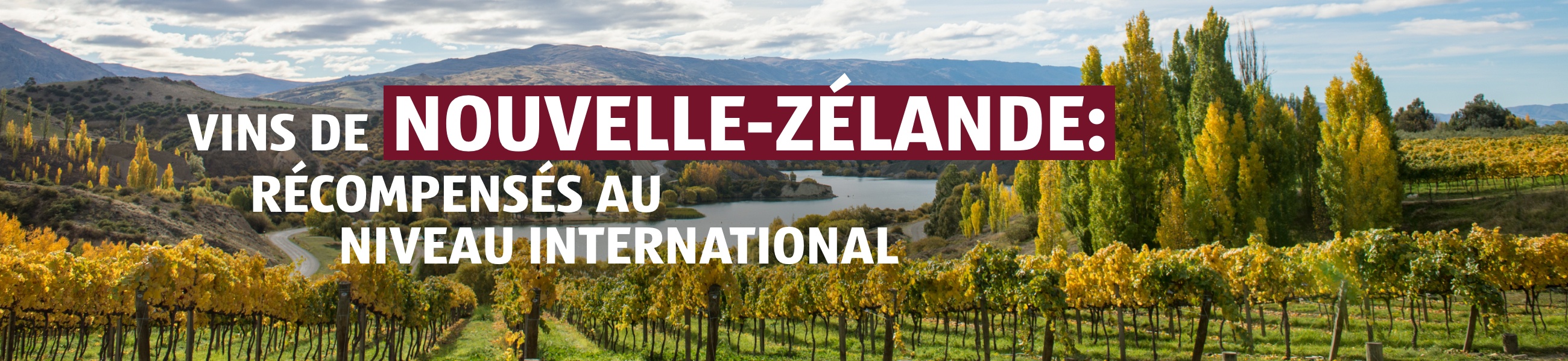Vinothèque – Nouvelle-Zélande