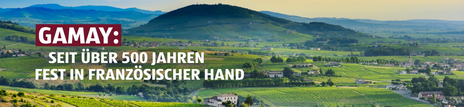 ALDI SUISSE – Vinoteca Gamay