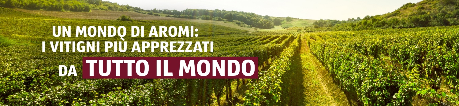 ALDI SUISSE – Vitigni Vinoteca