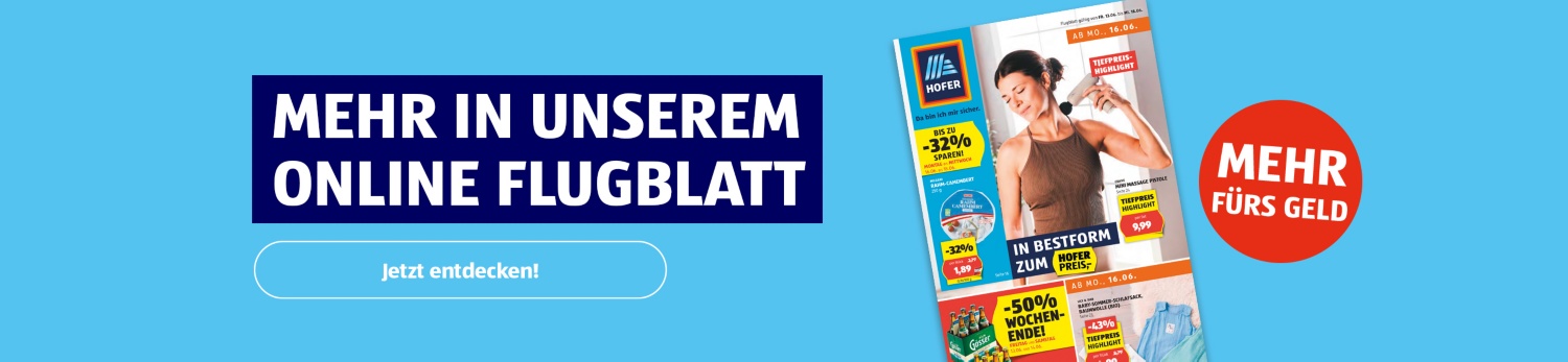 Online Flugblatt