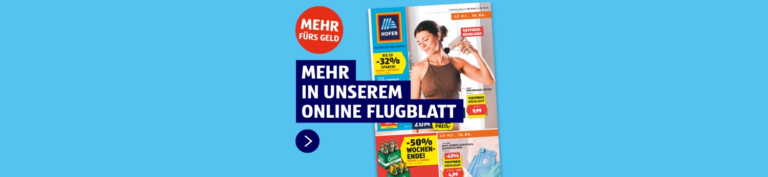 Online Flugblatt