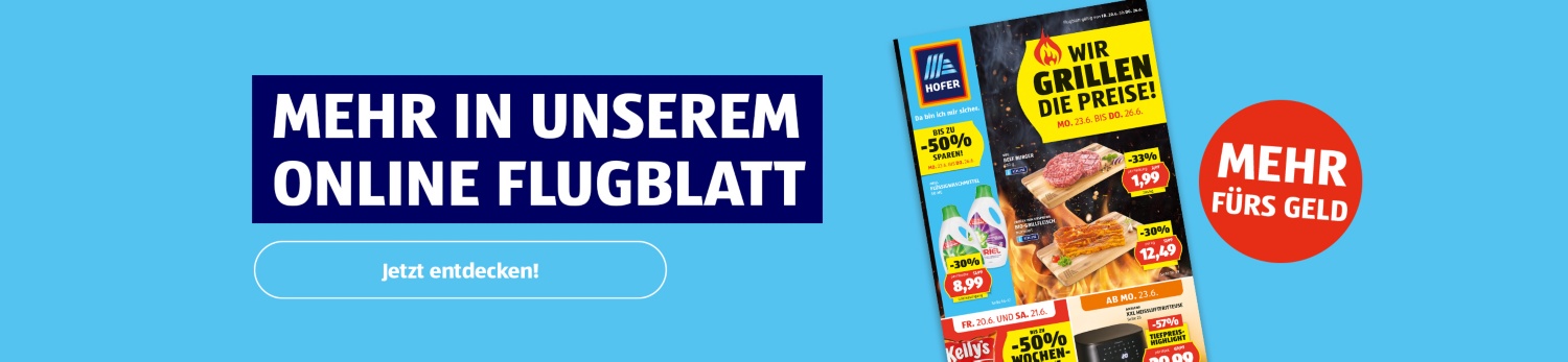 Online Flugblatt