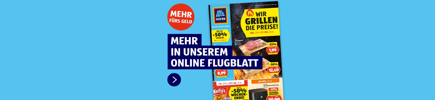 Online Flugblatt