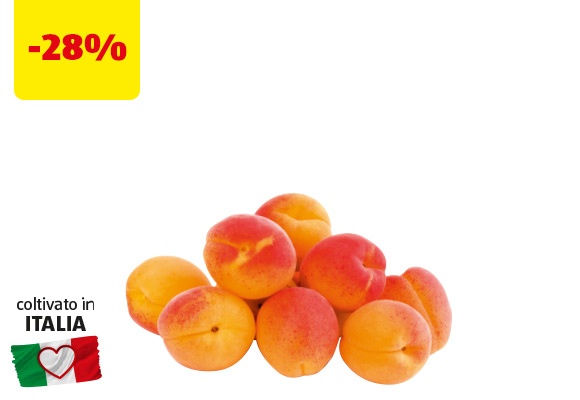 I COLORI DEL SAPORE Albicocche 1 kg