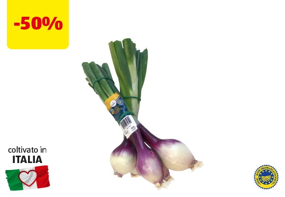 REGIONE CHE VAI Cipollotti di Tropea IGP 500 g