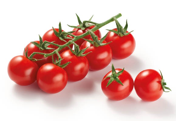 Cherry fürtös paradicsom (Doltschis)