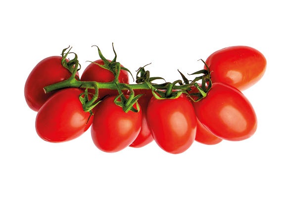 Fürtös bébiszilva paradicsom