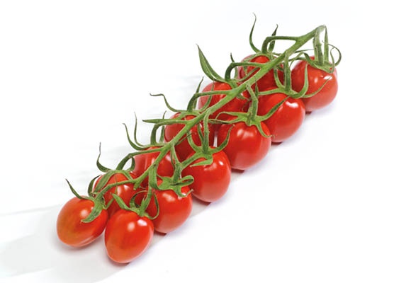 Veresi Csenge paradicsom