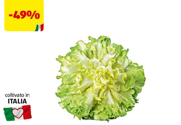 I COLORI DEL SAPORE Indivia scarola