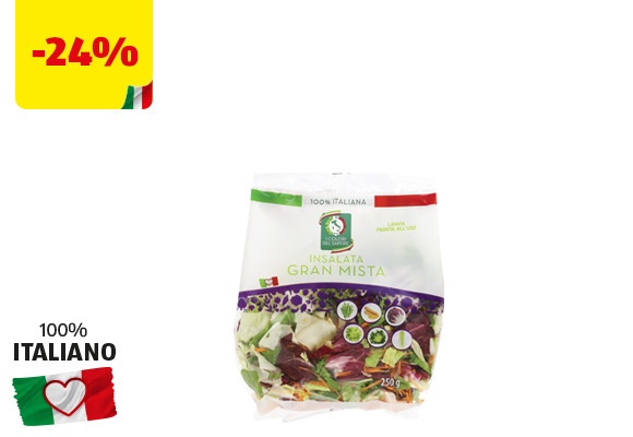 I COLORI DEL SAPORE Insalata Gran Mista 250 g
